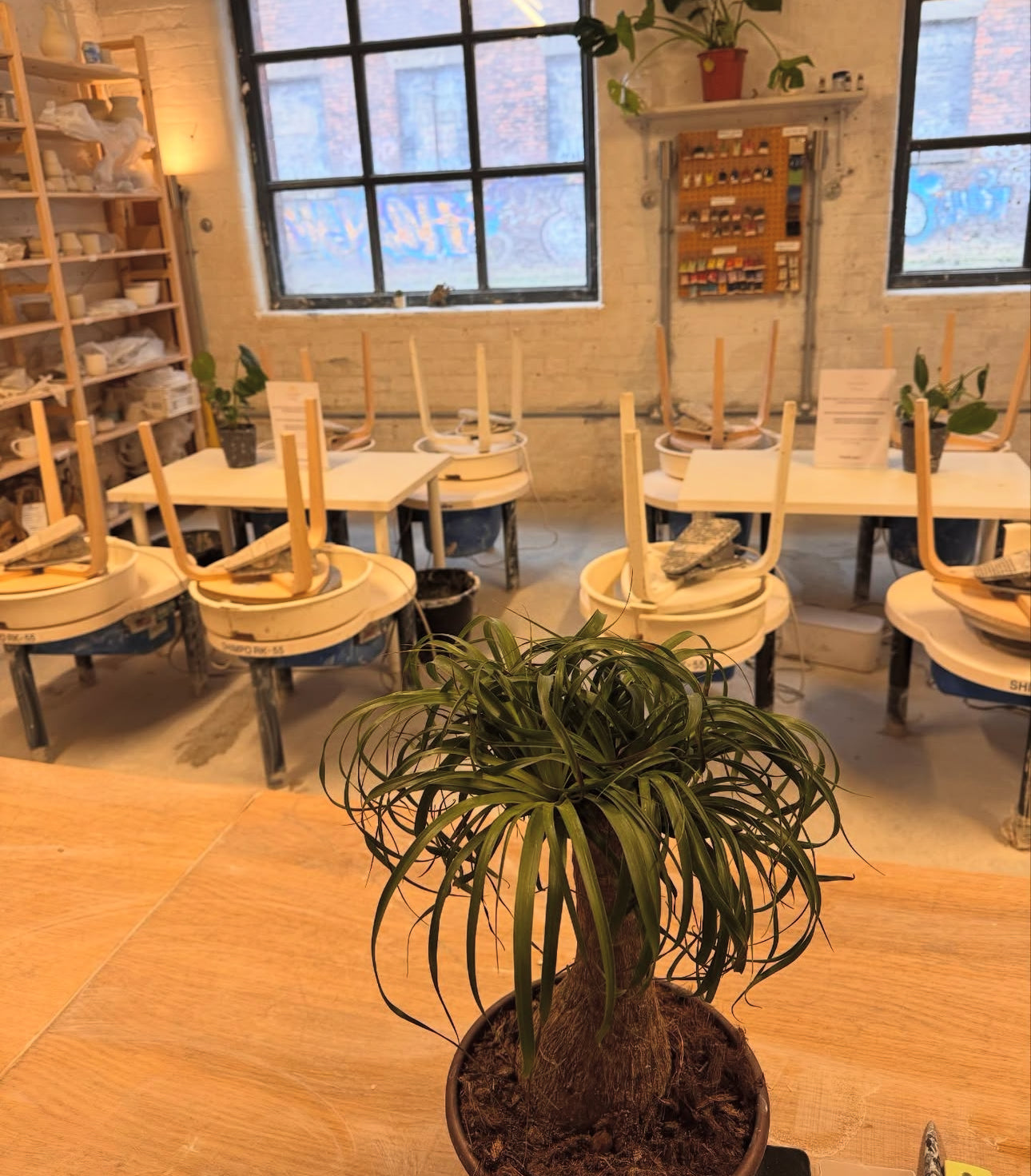 Pottery Class or Course- Gift Card